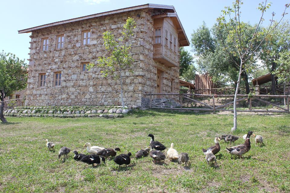 Yasayan Koy Otel Kizilcasogut Dış mekan fotoğraf