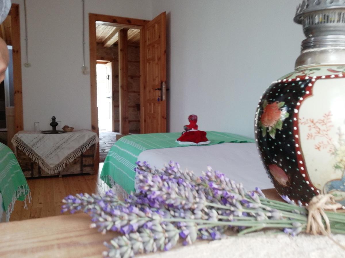 Yasayan Koy Otel Kizilcasogut Dış mekan fotoğraf