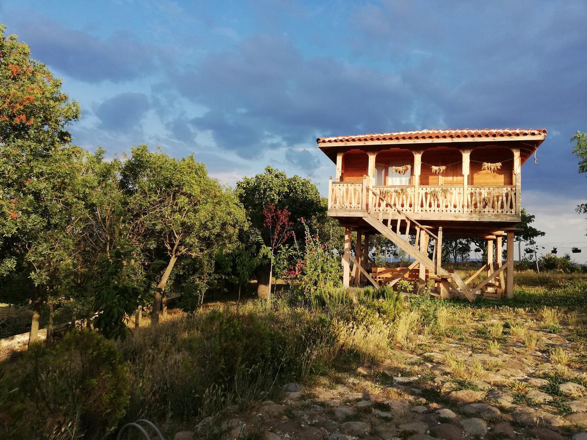 Yasayan Koy Otel Kizilcasogut Dış mekan fotoğraf